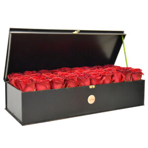 2f08cd04617b06d158efda5e84dc872a81f89e3b_1600756195